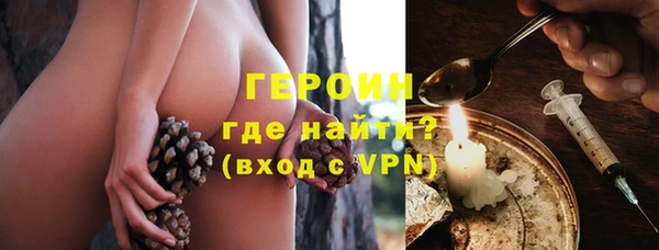гидра Каменногорск
