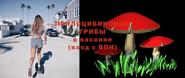 ешки Инсар