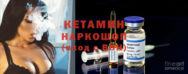 apvp Инта