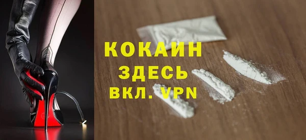 apvp Инта
