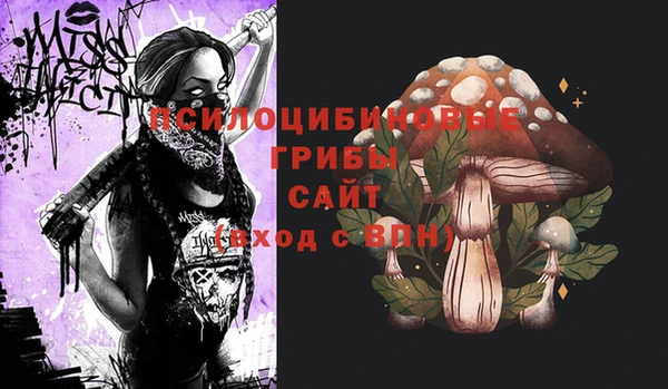 гидра Каменногорск
