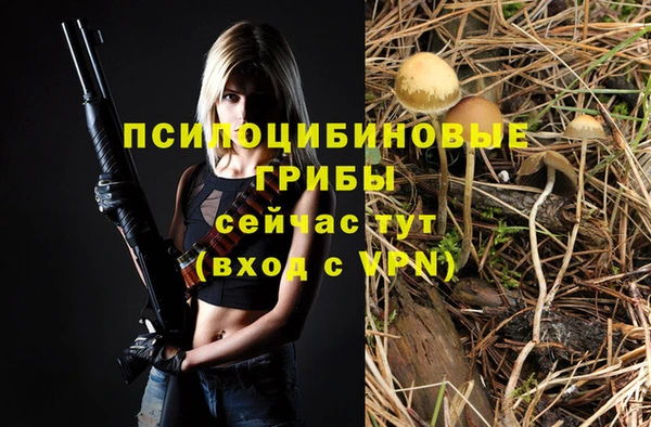 гидра Каменногорск