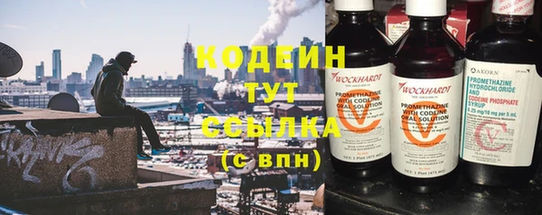 гидра Каменногорск