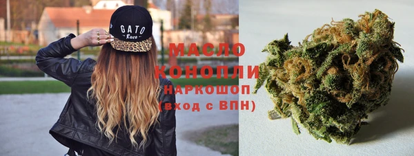 гидра Каменногорск