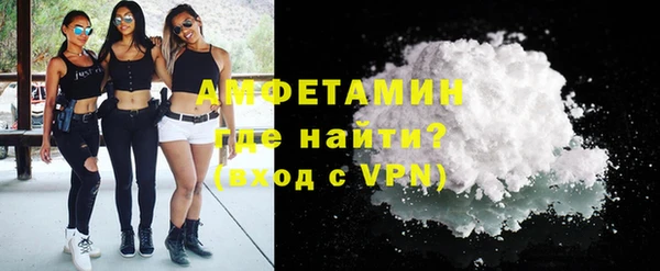 гидра Каменногорск