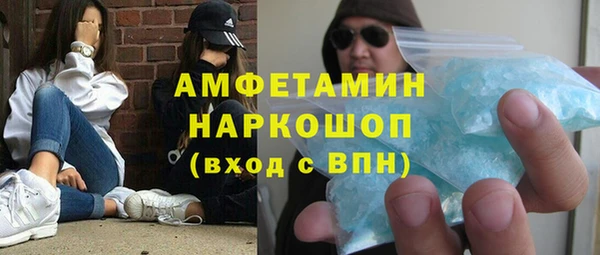 гидра Каменногорск